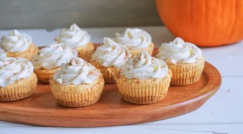 mini pumpkin cheesecakes